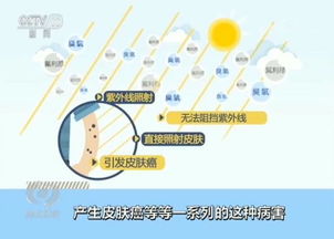 废家电的归途 一场绿色转型的战役